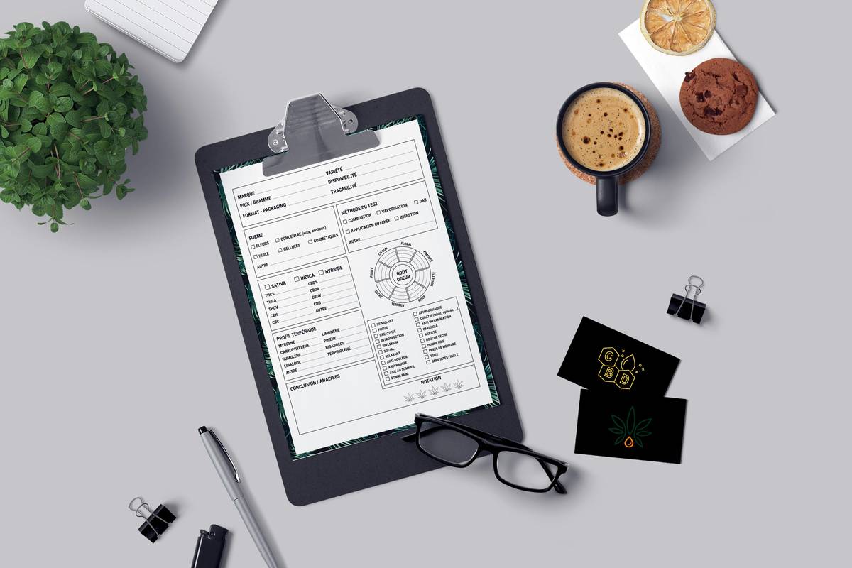 Why Your Audit Course Is Failing (And How Report Templates Can Save It)